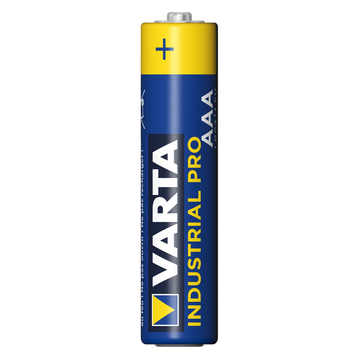 Miniatura 1