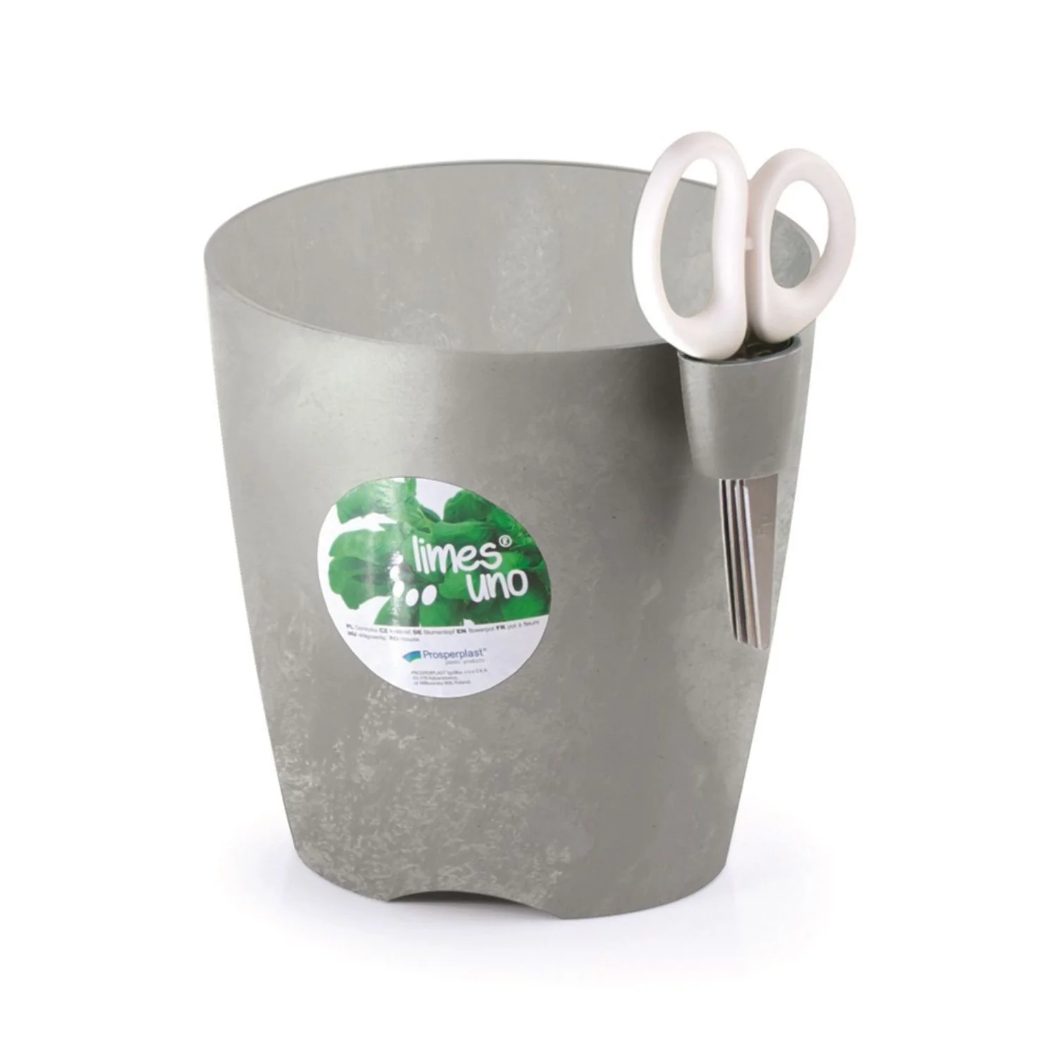 Miniatura 1